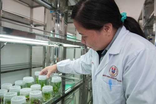 research laboratory university